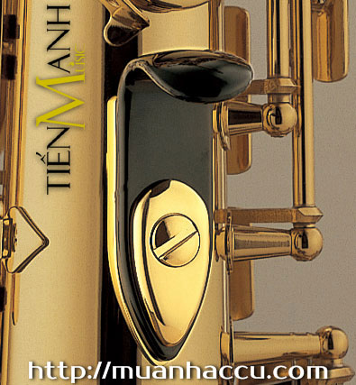 Ken Saxophone Yamaha YAS-26 - Standard Eb Alto Sax.jpg